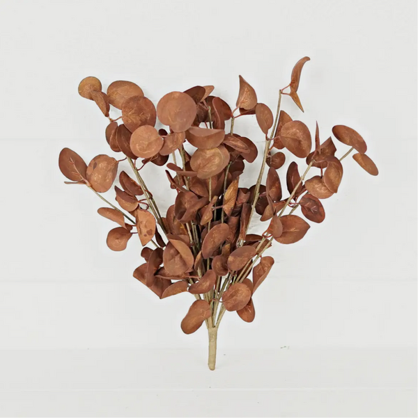 12in Stem - Silver Dollar Leaves - Coffee