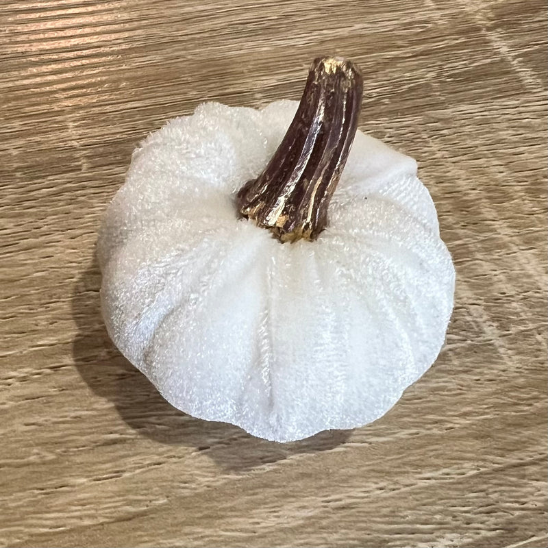 Velvet Pumpkin