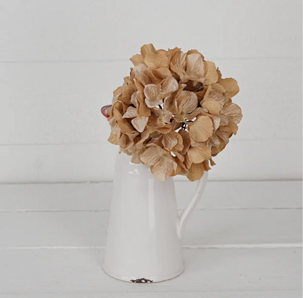 Hydrangea Head