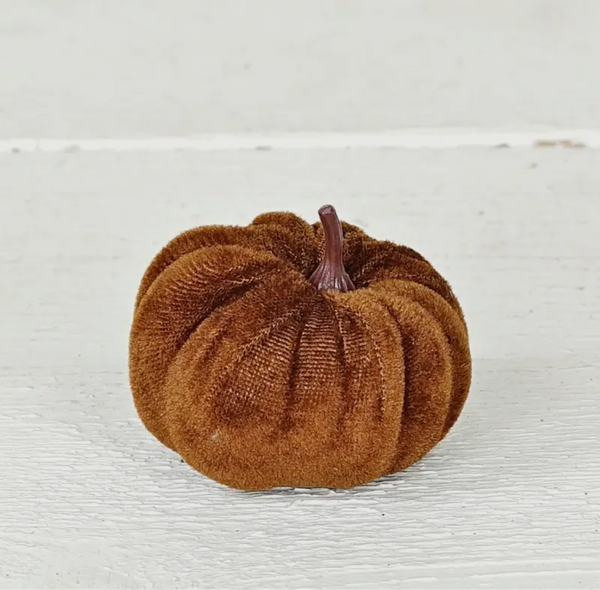 Velvet Pumpkins - Medium
