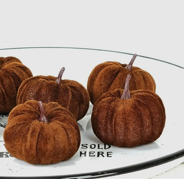 Velvet Pumpkins - Medium