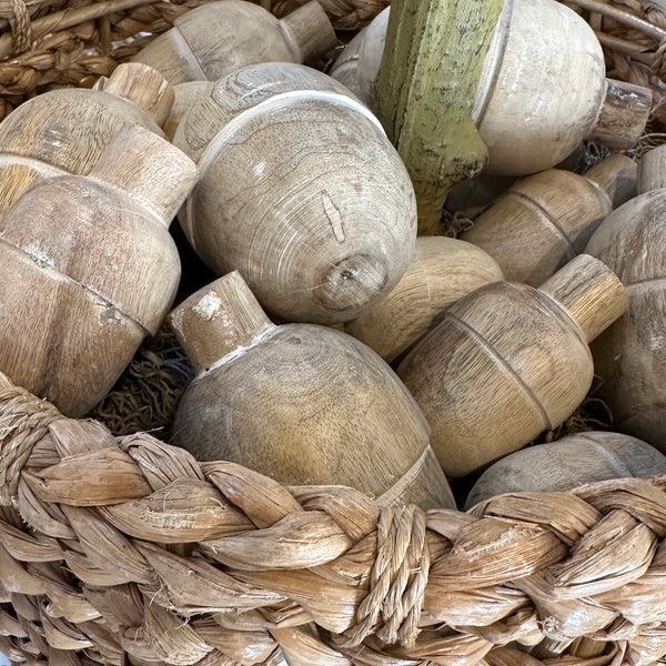 Acorn - Medium