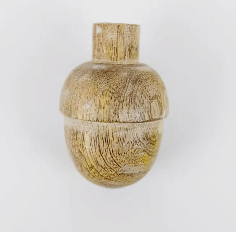 Acorn - Medium