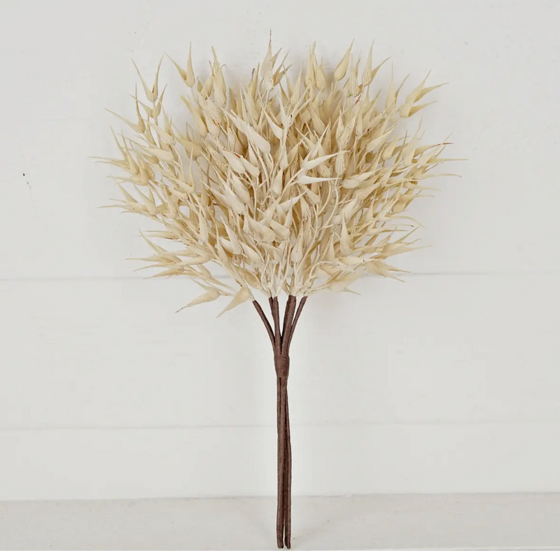 16in Pick - Cream Bearded Wheat Grass