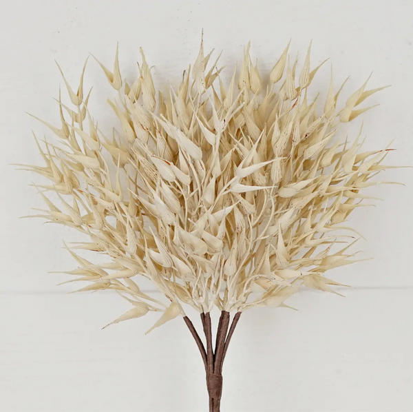16in Pick - Cream Bearded Wheat Grass