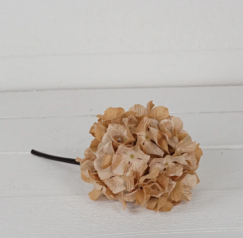 Hydrangea Head