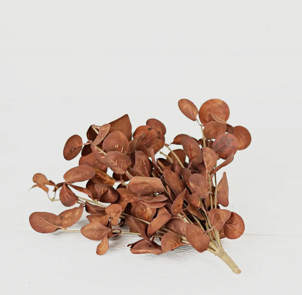 12in Stem - Silver Dollar Leaves - Coffee