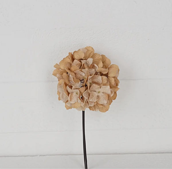 Hydrangea Head