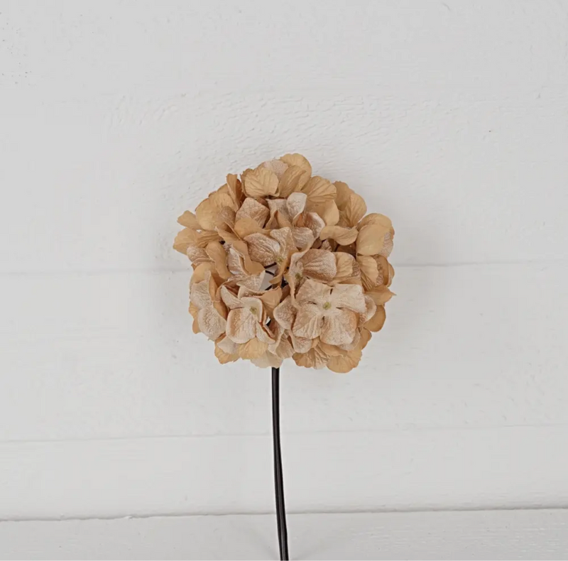 Hydrangea Head