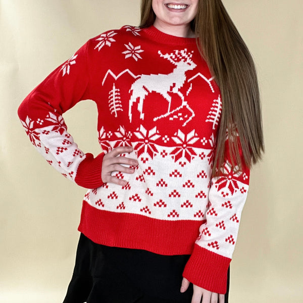 Holiday Knit Sweater